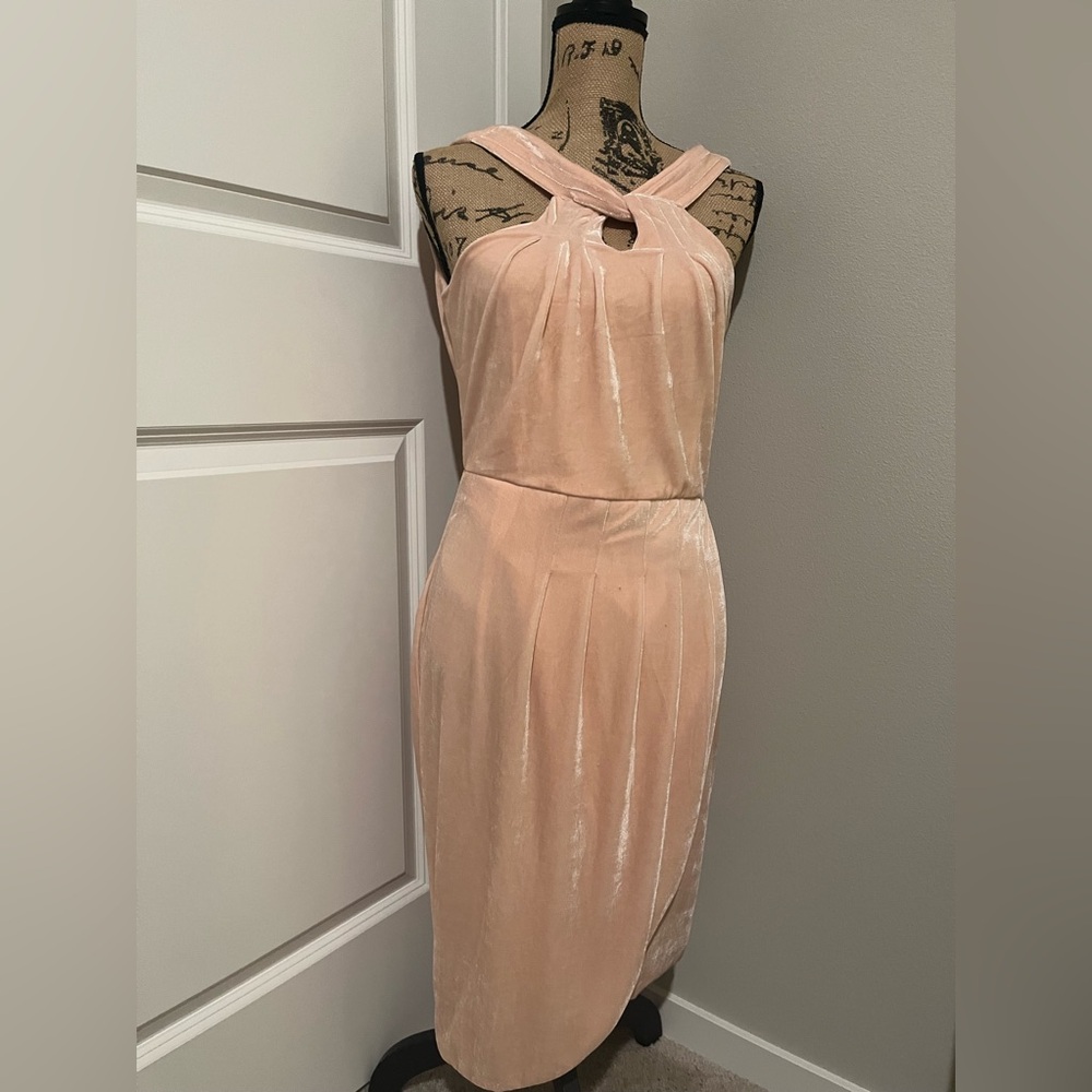 #1 Cupcakes and Cashmere Velvet Dress (Sz 6) NWT